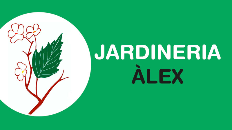 Jardineria-alex-Sant-pau-de-Seguries